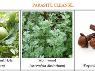 Parasite Cleanse Pack *Save £2!*